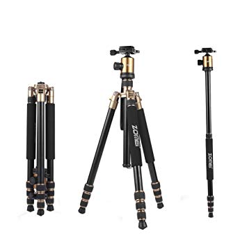 ZOMEi Z818 Lightweight DSLR Tripod With 360 Degree Ball Head and Carrying Bag For Canon Nikon Sony Samsung Olympus Cameras (Gold)