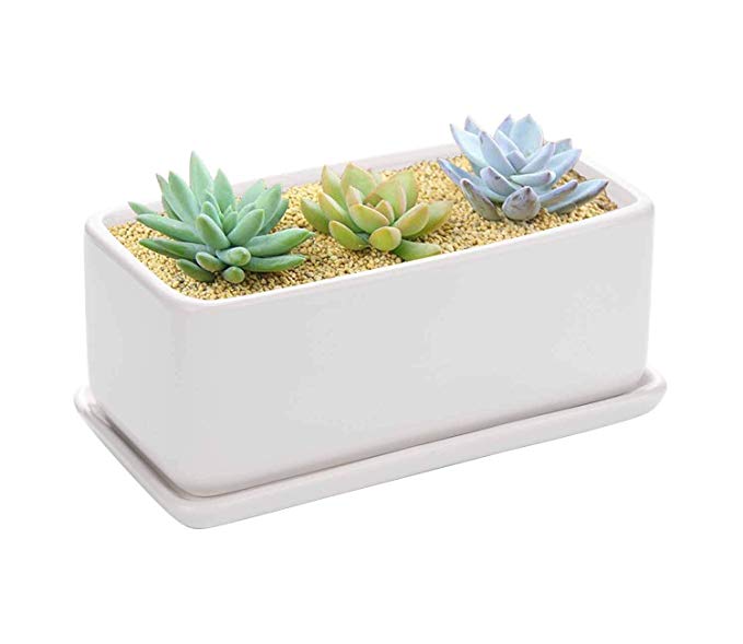 Vencer 10 Inch Rectangular Modern Minimalist Ceramic Succulent Planter Pot - Window Box with Saucer,Office Desktop Potted Stand,White,VF-001
