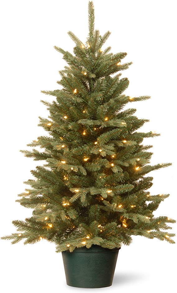 National Tree 3 Foot Everyday Collections Tree with 100 Clear Light in Green Pot (ED3-307-30)