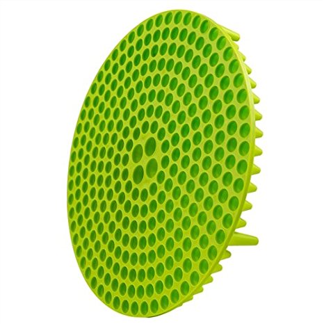 Chemical Guys Cyclone Dirt Trap Car Wash Bucket Insert Car Wash Filter Removes Dirt and Debris While You Wash (Lime Green)