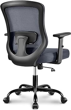 Winrise Office Chair, Ergonomic Home Office Desk Chairs, Breathable Mesh Mid-Back Comfortable Work Chair Adjustable 2D Armrests, Rocking Executive Chair, Swivel Task Chair with Lumbar Support (D-Gray)