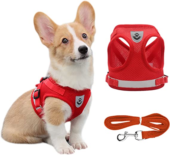 FIZILI Soft Dog Harness, Reflective Breathable Mesh Dog Vest Harness for Puppies XS Small Medium Large Pet Supplies(Red,M)