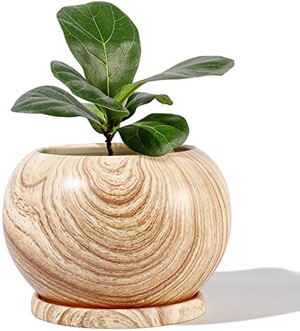 POTEY Planter Ceramic Plant Flower Pot - 5" Large Indoor Glazed Container Bonsai with Drainage Hole Saucer - Large Space, Wooden Pattern