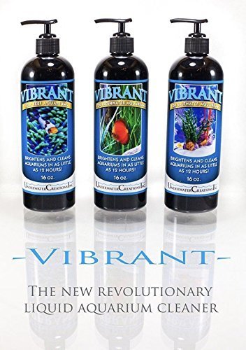 Vibrant Liquid Aquarium Cleaner for Reef Tanks