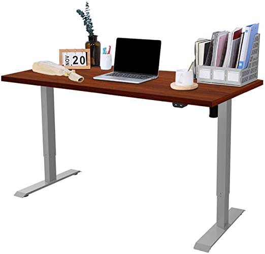 FLEXISPOT EG1 Height Adjustable Electric Standing Desk with Desktop,2-Stage Desk with Single Motor Heavy Duty Steel Stand up Desk for Home Office (120 * 60cm, Grey Frame Mahogany Desktop)