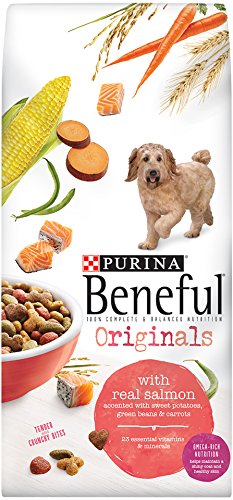 Beneful Dry Dog Food