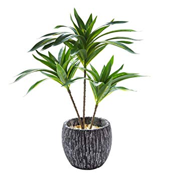 AlphaAcc Mini Potted Artificial Plants Real Looking Plastic Yucca Plant with Rustic Black Cement Planter for House Office Desk Decor