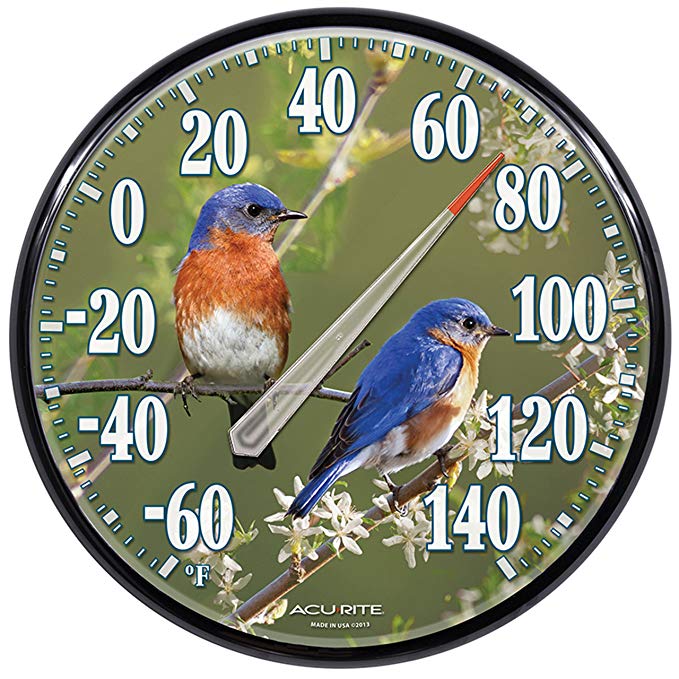 AcuRite 01598A1 12.5-Inch Wall Thermometer, Bluebirds
