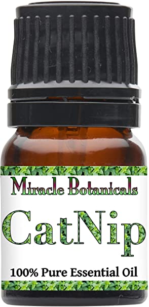 Miracle Botanicals Catnip Essential Oil - 100% Pure Nepeta Cataris - Therapeutic Grade - 2.5ml