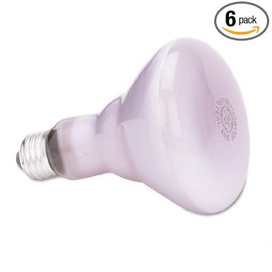 GE 48692-6 65 Watt Reveal Floodlight BR30 Light Bulb, 6-Pack