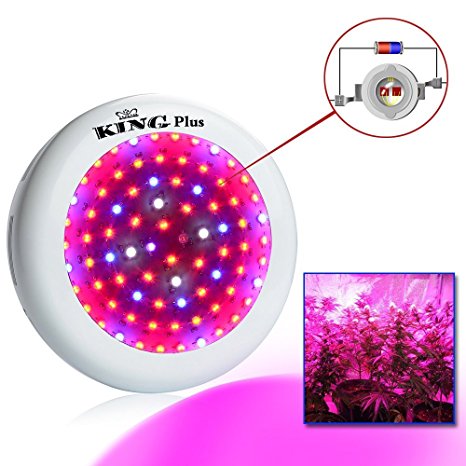 King Plus UFO 800w Double Chips LED Grow Light Full Specturm for Greenhouse and Indoor Plant Flowering Growing (10w Leds)