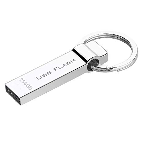 RUICHENXI Waterproof 256GB USB Flash Drive Pen Drive Memory Stick with Keychain (256gb)