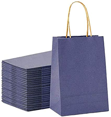Leesentec Paper Bags 20 Pcs 8.2×4.3×10.6″Medium Gift Bags Carrier Bags with Reinforced Twisted Handles for Shopping, Packaging, Craft, Gifts, Wedding, Recycled, Business, Goody and Retail Party Bags (21 x 11 x 27cm ) (Blue)