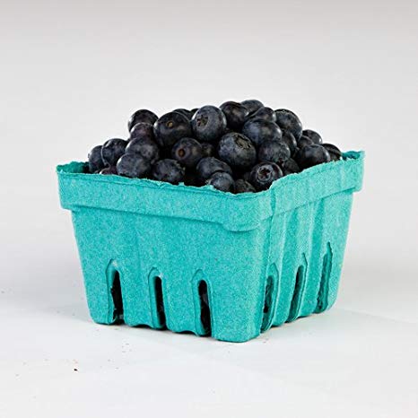 Pactiv Garden Party Berigard Berry Basket Molded Fiber Green, 1 qt. | 297/Case