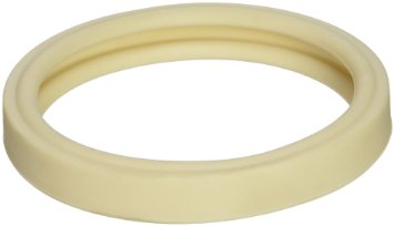 Pentair 79108500 Replacement Lens Gasket for SpaBrite And AquaLight Pool and Spa Lights