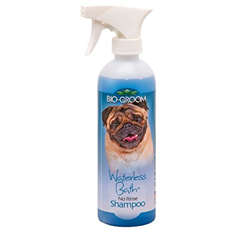 Bio-Groom Waterless Shampoo 16oz