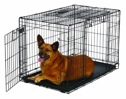 MidWest Homes for Pets Ovation Dog Crate