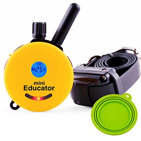 Best Dog Training e Collar - Educator Remote Trainer System - WaterProof - Vibration Tapping Sensation With eOutletDeals Value Bundle