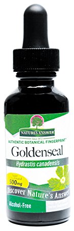 Nature's Answer Alcohol-Free Goldenseal Root, 1-Fluid Ounce