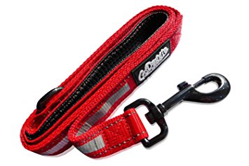 GoDoggie Reflective Dog Safety Leash - Improved Dog Visibility and Safety - Super-Reflective Stitching and Strips, D-Ring, Comfy Foam-Padded Handle, Premium Quality,