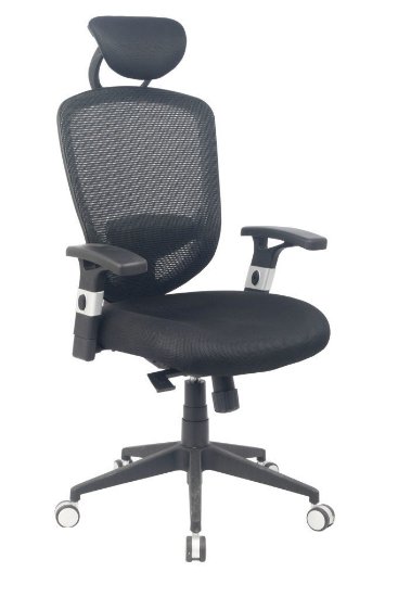 VIVA OFFICE High Back Mesh Chair with Adjustable Armrests,Heasrest and Lumbar Pad