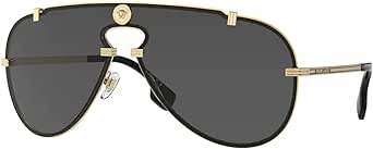 Versace VE2243 Pilot Sunglasses for Men   BUNDLE With Designer iWear Eyewear Kit