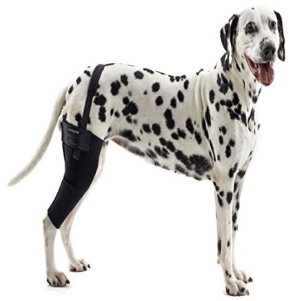 Kruuse Rehab Knee Protector For Dogs