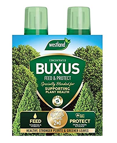 Westland Horticulture 20100418 Buxus Feed & Protect Concentrates 2 in 1 (2x500ML)