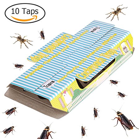 Trapro Insect Trap for Home Pest Control, Great for Cockroaches, Spiders and Other Bugs - 10 Traps