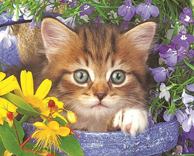 Springbok Children's Jigsaw Puzzles - Garden Helper - 100 Piece Jigsaw Puzzle - Large 18.875 Inches by 13.5 Inches Puzzle - Made in USA - Extra Large Easy Grip Pieces