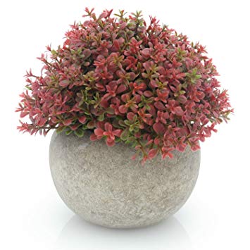 Velener Mini Plastic Artificial Pine Ball Topiary Plant with Pots for Home Decor (Red Clover)