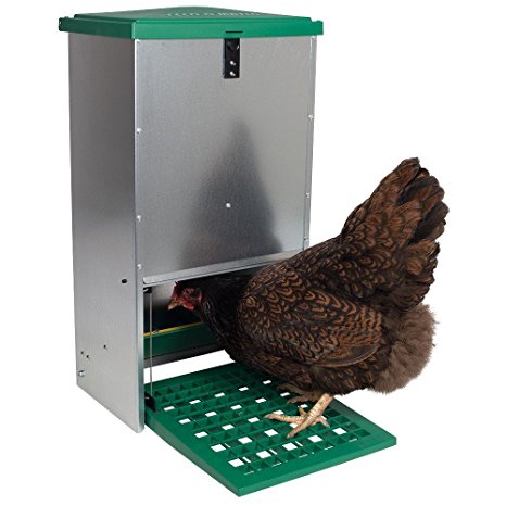 Automatic Treadle Feeder - For Chickens And Other Poultry (9  Hens - 44 Pounds of Feed)