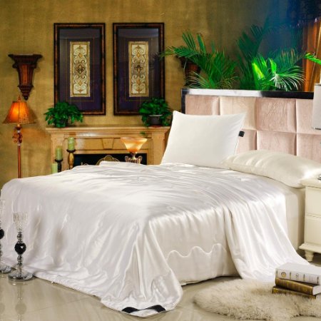 LILYSILK All Season Silk Comforter with Silk Shell 100% Mulberry Silk Queen 87x90 Inches