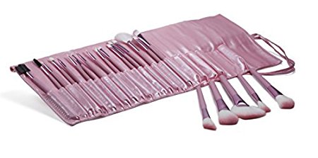 Plixio 22 Piece Pink Cosmetic Makeup Brush Set & Organizer with Travel Case