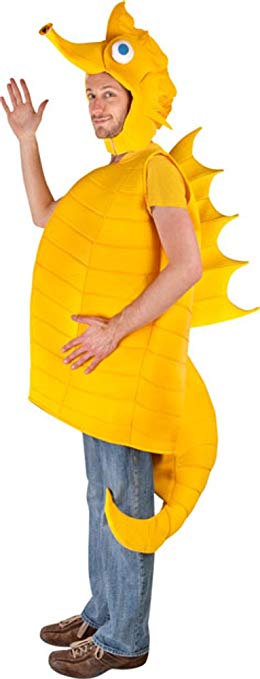 Adult Seahorse Halloween Costume