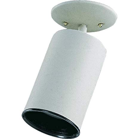 Spot Light Bulb Type: (1) 75W medium base bulb, Finish: White