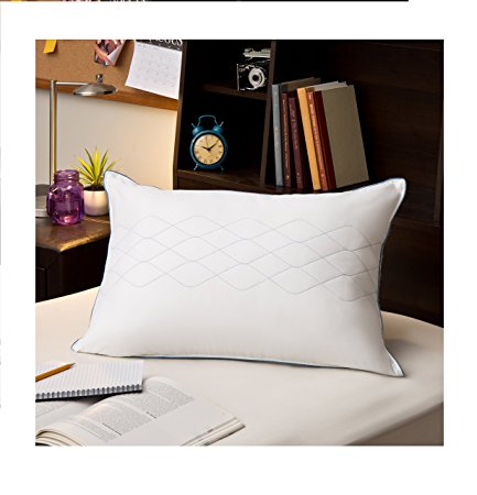 Sealy Posturepedic LiquiLoft Gel Support Pillow