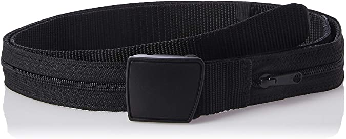 Pacsafe CashSafe8482; Travel Belt Wallet