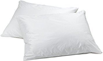 High Quality Zippered Waterproof Pillow Cover, Bed Bugs Free, Pillow Wetting Free, Dust Mite Free, Vinyl Pillow Protector (21" x 27")