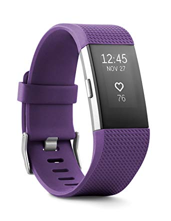 FITBIT Charge 2 Band- Plum Silver, Small