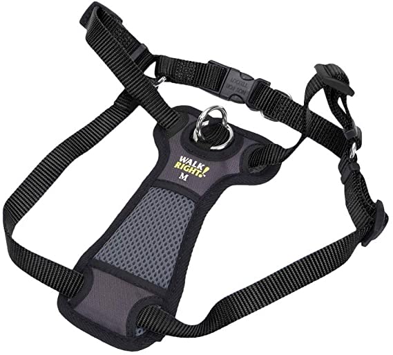 Coastal Pet Walk Right! Front-Connect Padded Dog Harness