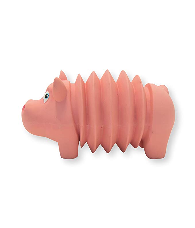 Outward Hound Accordionz Latex Squeaking Toy - Tough Interactive Squeaky Dog Toy