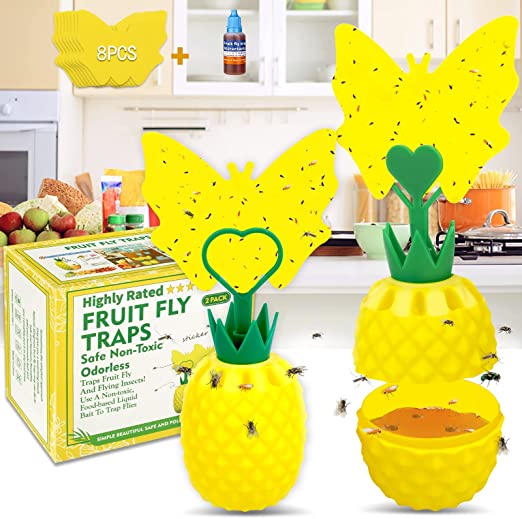 Fruit Fly Trap Indoor, Effective Gnat Catcher for Kitchen, 2 Fruit Fly Traps Bait Only and 8Pcs Yellow Sticky Pads, Safe Non-Toxic Fruit Flies Traps, Odorless Fly Insects Trap for Home Plants(2 Pack)