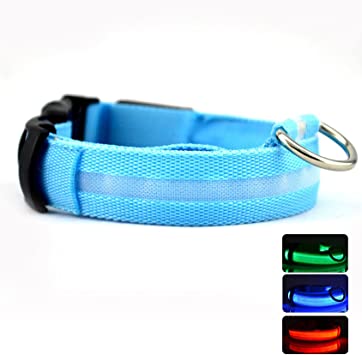 LED Nylon Dog Collars,Classic Solid Colors,USB Rechargeable Pet Safety Collar,Adjustable for Small Medium Large Dogs (M(16-19"/40-48cm, Blue)