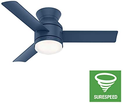 Hunter Fan Company 50018 Dublin Ceiling Fan with LED Light and Handheld Remote, 44", Indigo Blue