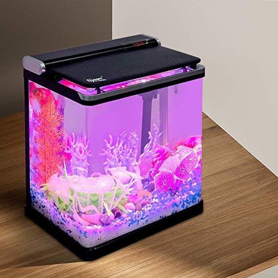 Hygger 4 Gallon Smart Touchscreen LED Temperature Display Aquarium Kit with Flip Lid, 3-in-1 Filter Pump, LED Light Hood and 2 Filter Cartridges, Betta Fish Tank Starter Kit