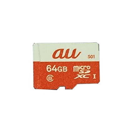 AU 64GB microSDXC Class 6 UHS-I Card by SanDisk