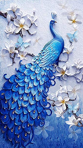 TOCARE DIY 5D Diamond Painting Kits For Adults 18x30inch Large Full Drill Paint by Numbers Lucky Birds Crystal Rhinestone Embroidery Birds Home Wall Decor,Peacock