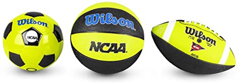 Wilson Mini Football, Basketball and Soccer Ball