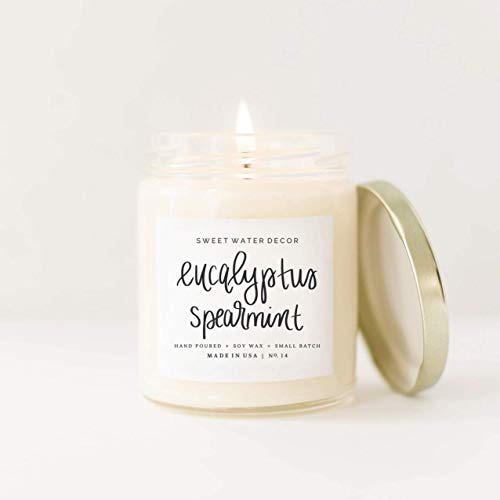Eucalyptus Spearmint Natural Soy Wax Candle | Lemon Orange Parsley Lavender Spearmint Sage Woods Spa Scented Candle Made in USA Lead Free Cotton Wicks Modern Rustic Home Decor Gift for Her